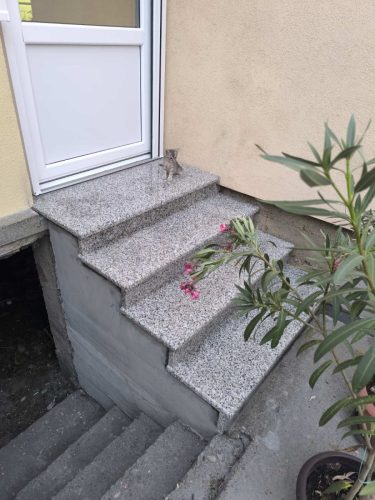 Kamenorezac Stara Pazova, izrada proizvoda od mermera, spomenici, kosturnice, urbani mobilijar, stepenice, sankovi, enterijer od kamena, eksterijer od kamena, prirodni i vestacki kamen